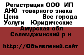 Регистрация ООО, ИП, АНО, товарного знака › Цена ­ 5 000 - Все города Услуги » Юридические   . Амурская обл.,Селемджинский р-н